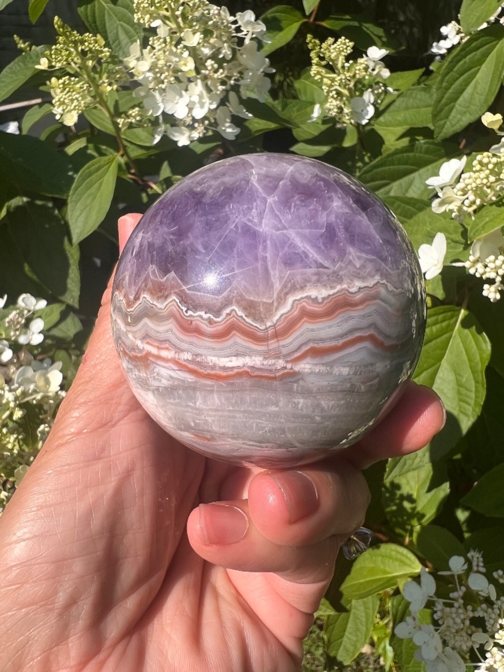 Amethyst (6) lace agate sphere | crystal
